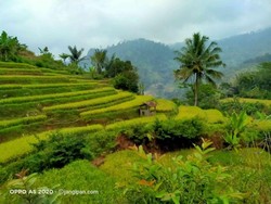 Destinasi Wisata Desa Gunung Jampang