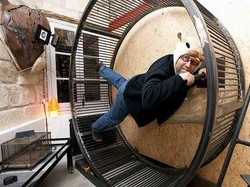 Di Hotel Ini Anda Bisa Jadi Hamster!