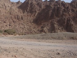 Di Jabal Magnet, Mobil Berjalan Sendiri Hingga 120km/jam!