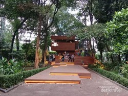 Di Jakarta, Ada Kafe Ngehits di Tengah Hutan