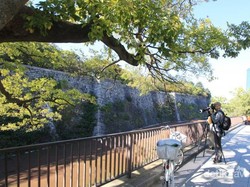 Di Osaka Castle, Ada Komunitas Fotografi Orang Tua