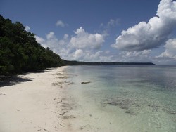 Diving Sepuas Hati di Kepulauan Derawan