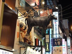 Dotonbori, Tempat Wisata Malam Populer Jepang