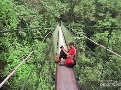 Dua Lagi Spot Menarik di Taman Nasional Gede Pangrango