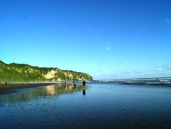 Duh! Banyak Ubur-ubur Serang Wisatawan di Parangtritis