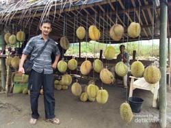 Durian Lezat dari Daratan Gayo Aceh