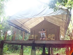 Ecolodge, Penginapan yang Ramah Lingkungan