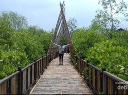 Ekowisata Hutan Mangrove Wonorejo, Sudut Adem di Surabaya