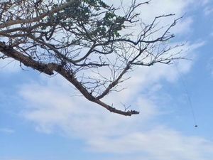 Eksotisme Pantai di Selatan Malang