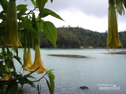 Eksotisnya Telaga Warna dari Batu Ratapan Angin