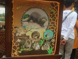 Floating Market Lembang juga Punya Berang-berang