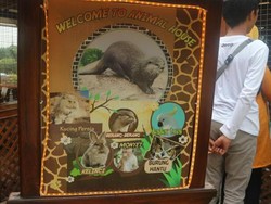 Floating Market Lembang juga Punya Berang-berang