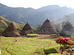 Flores Dilirik Jadi Tempat Liburan Long Weekend Bu Menteri