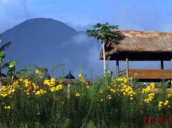 Garut, Swiss Van Java