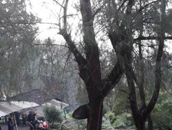 Gerobak Pengusung Rezeki di Kawah Ijen