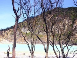 Gersang Tapi Eksotis, Itulah Kawah Ciwidey