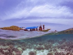 Gili Noko, Si Cantik dari Jawa Timur
