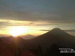 Golden Sunrise Sikunir, Si Kuning yang Masih Terus Diburu