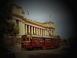 Gratis, Keliling Kota Melbourne dengan City Circle Tram