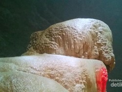 Gua Jomblang, Cahaya Surga dan Hutan Purba