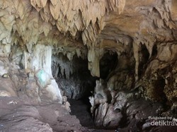 Gua Semedi, Destinasi Petualangan Baru di Pacitan