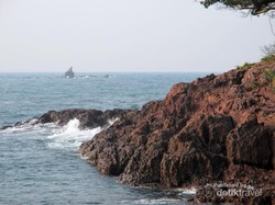 Gugusan Karang Keren di Pulau Salah Namo, Sumut