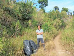 Gunung Argopuro, Surga Savana di Timur Jawa