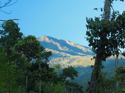 Gunung Lawu yang Berliku