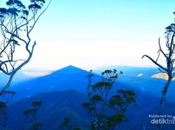 Gunung Mutis, Tempat Bersemayamnya Raja-raja NTT