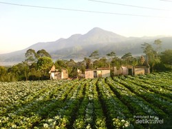 Gunung Ragajembangan, Selalu Bikin Rindu Orang Banjarnegara