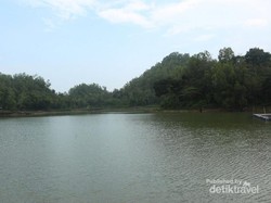 Guyang Warak, Telaga Cantik Saksi Bisu Kehidupan Badak Purba