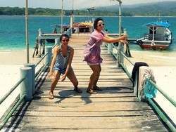 Hai Badak, Dimana Kalian?