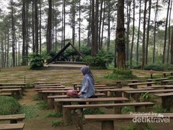 Halo! Selamat Pagi dari Lembang yang Sejuk