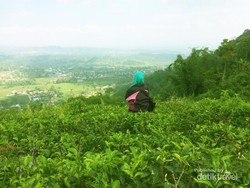 Hanya di Solo, Nonton Wayang Orang Tiketnya Cuma Rp 5.000