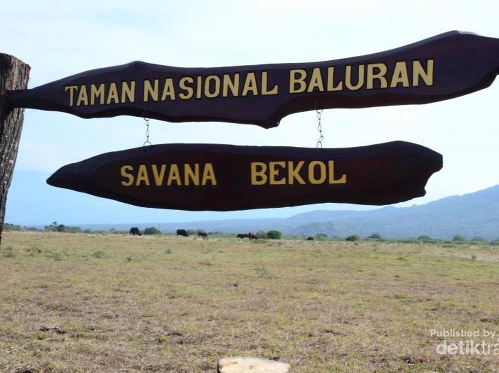 Harga Lengkap dari Fasilitas Taman Nasional Baluran Harga Lengkap dari Fasilitas Taman Nasional Baluran