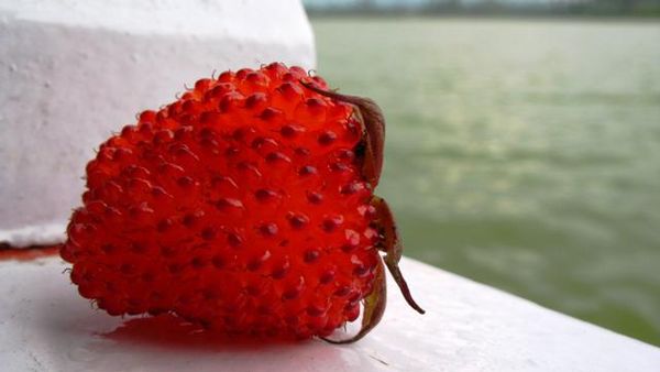 Hari Kesembilan - Tim 11 Jabar Part 2