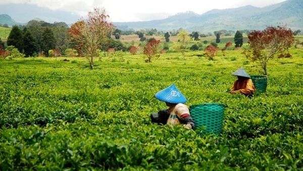 Hari Kesembilan - Tim 11 Jabar