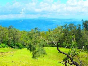 Hati-Hati ke TTS, Dijamin Susah Move on karena Kemolekannya