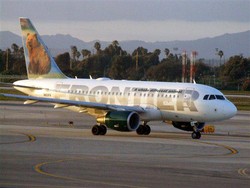 Hiii, Ada Ular di Pesawat Kargo Australia!