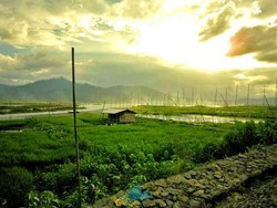 Hilangkan Pusing dengan Berakhir Pekan di Rawa Pening