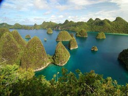 Hiu Dibantai, Turis Diminta Ikut Menjaga Raja Ampat