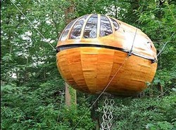 Hotel Tapi Rumah Pohon, Kenapa Tidak?