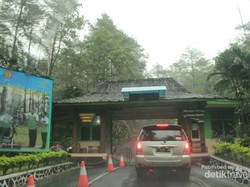 Hujan atau Panas, Liburan ke Tangkuban Perahu Tetap Seru!