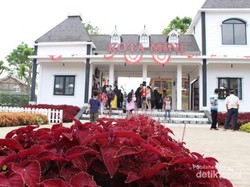 Hunting Foto di Kota Mini