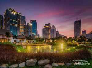 Hutan Kota Jakarta Saat Malam Hari, Cakep Banget!