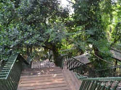 Hutan Kota, Tempat Ngadem di Babakan Siliwangi