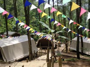 Hutan Pinus dan Kawasan Kemping Modern di Purworejo