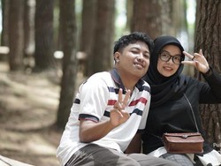 Hutan Pinus Mangunan, Dulunya Tandus Kini Digemari Wisatawan