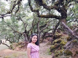 Hutan yang Terlihat Seram nan Keren, Namanya Fatumnasi