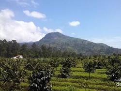 Ide Weekend: Menikmati Sejuknya Hulu Sungai Citarum